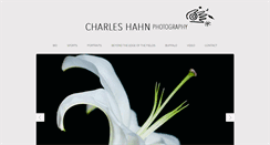 Desktop Screenshot of cwhahn.com